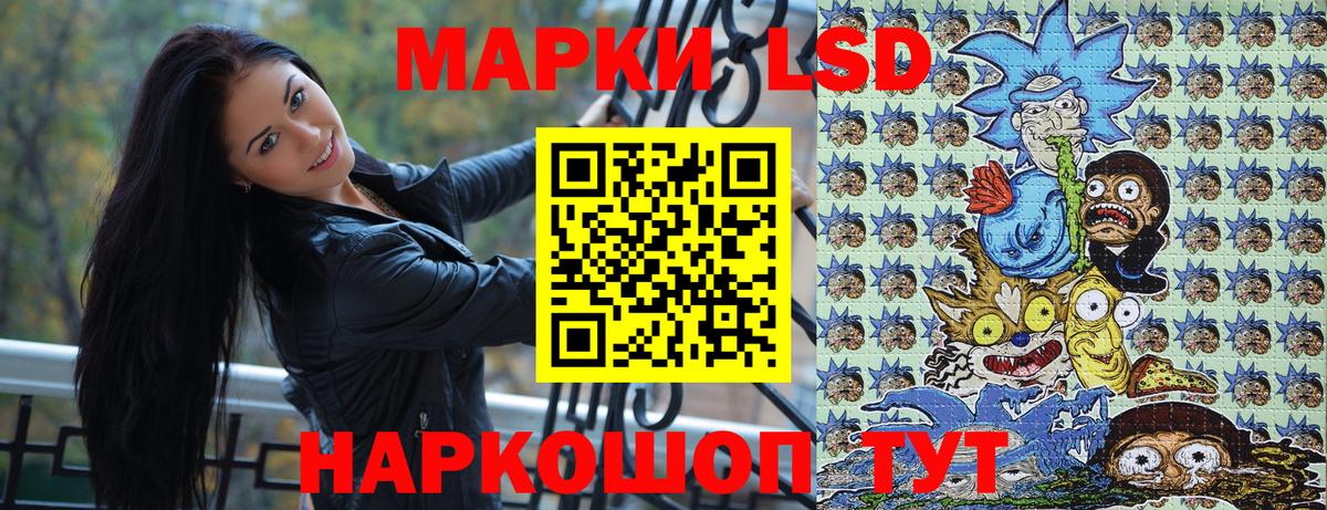 Альфа ПВП Дмитров